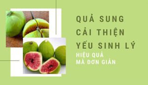 quả sung chữa yếu sinh lý